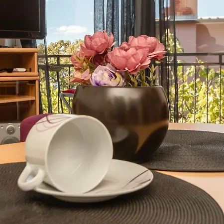 Apartman Svetic *